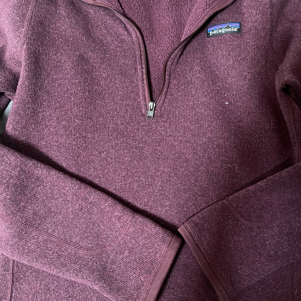 Purple Patagonia better sweater